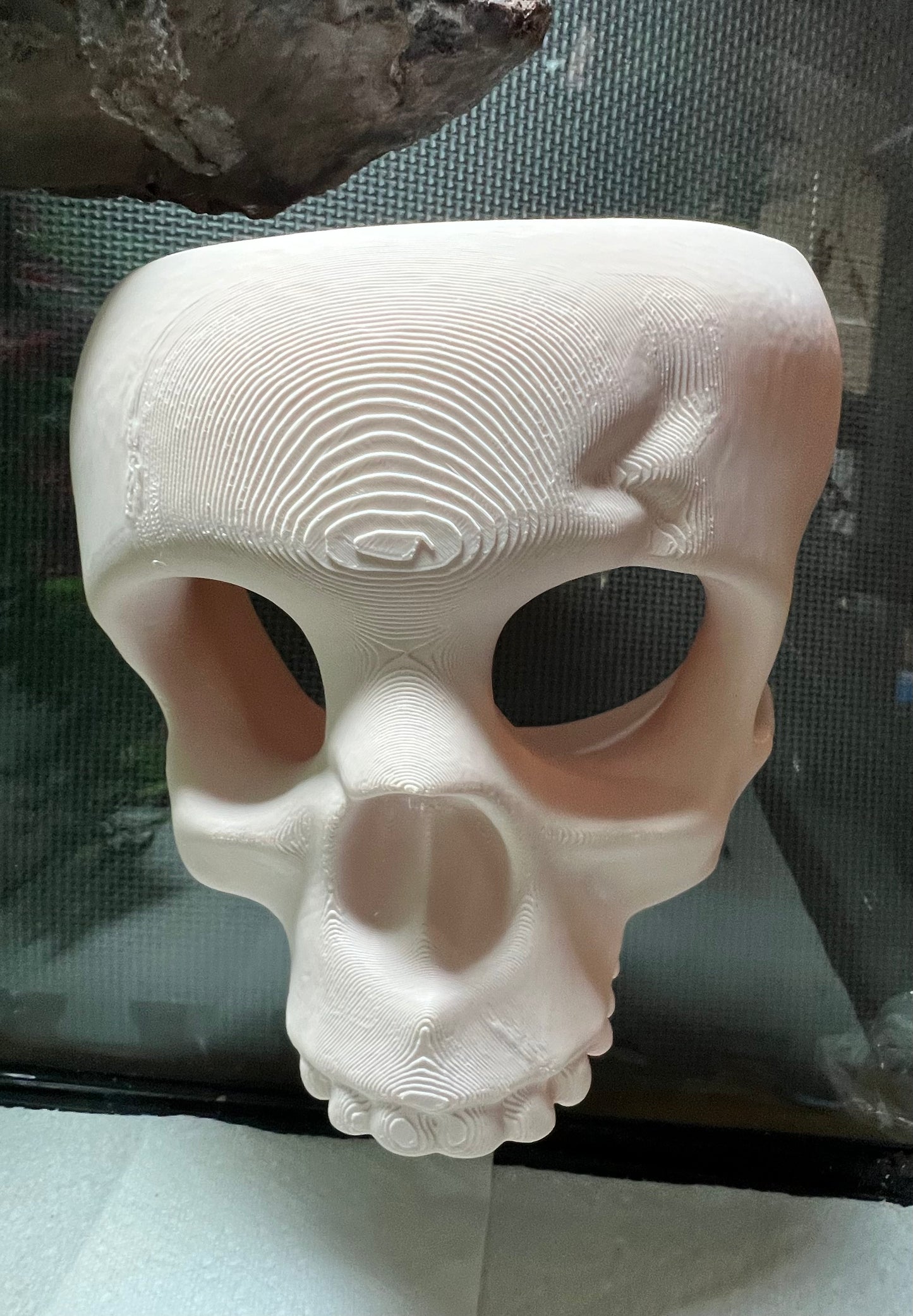 Skull Wall Hide