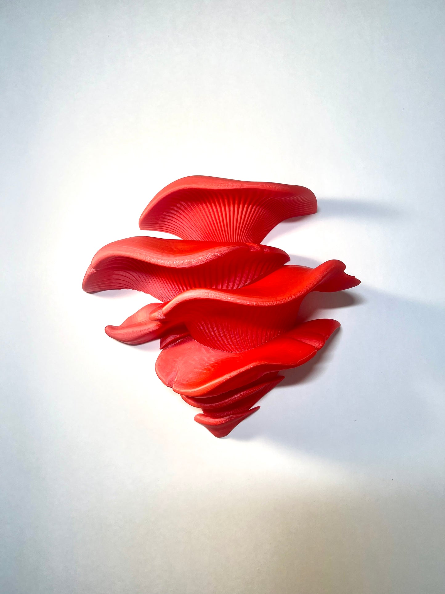 Mushroom Shelf (with Suction Cups)