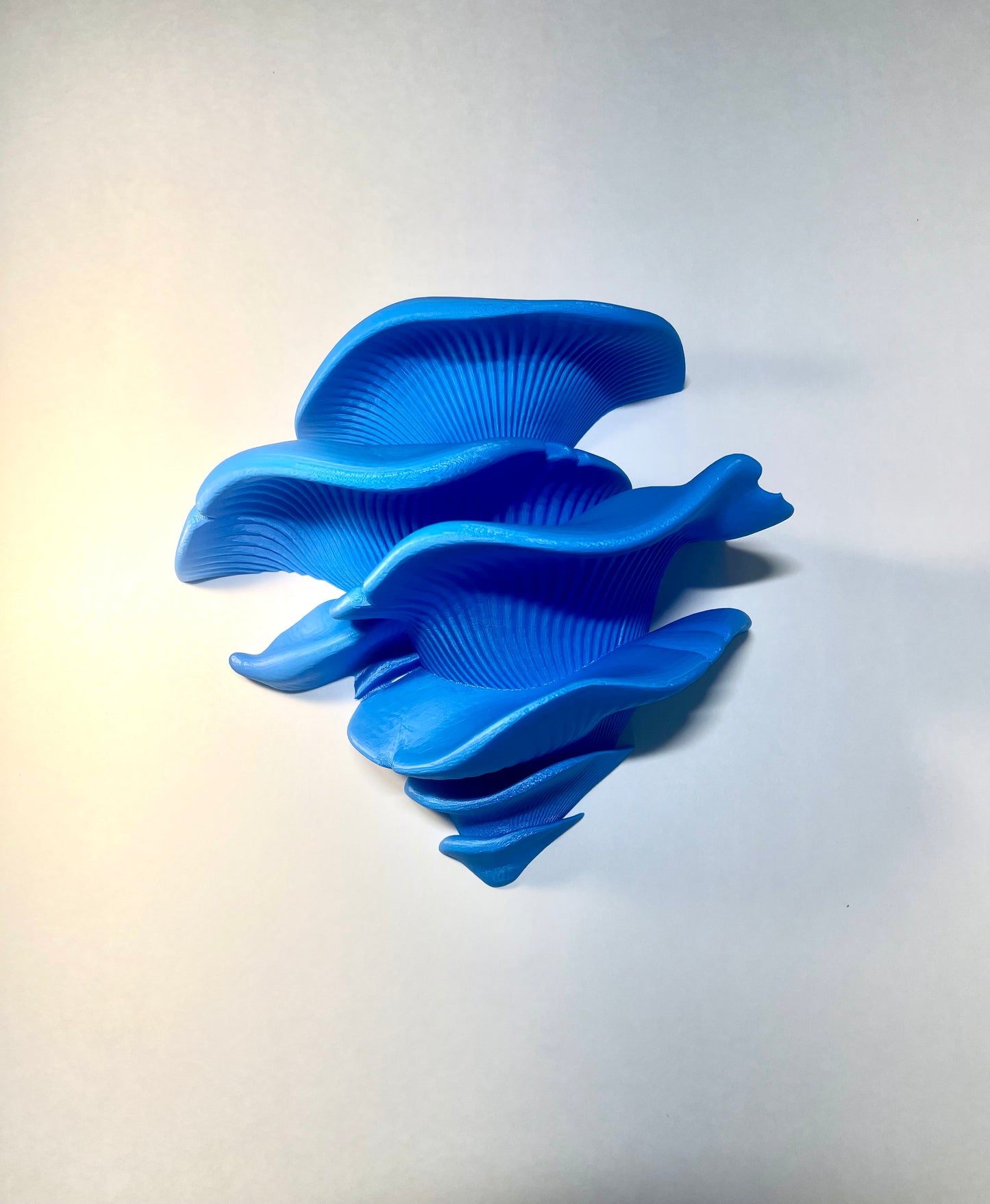 Mushroom Shelf (with Suction Cups)