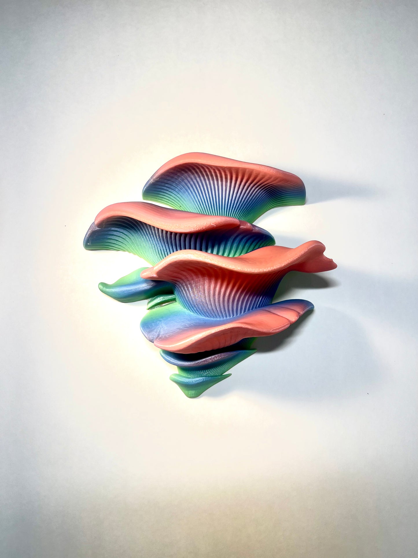 Mushroom Shelf (with Suction Cups)