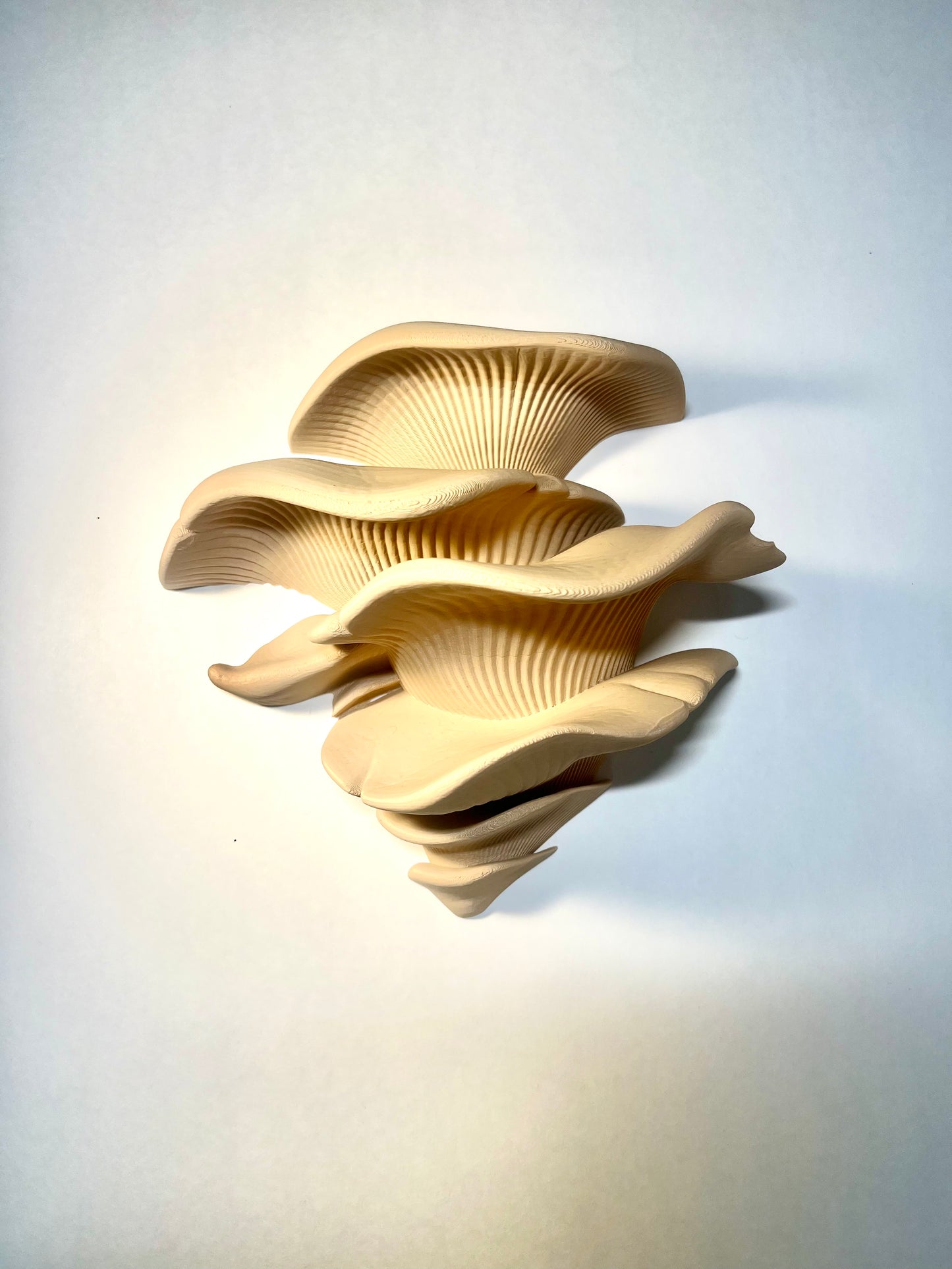Mushroom Shelf (with Suction Cups)