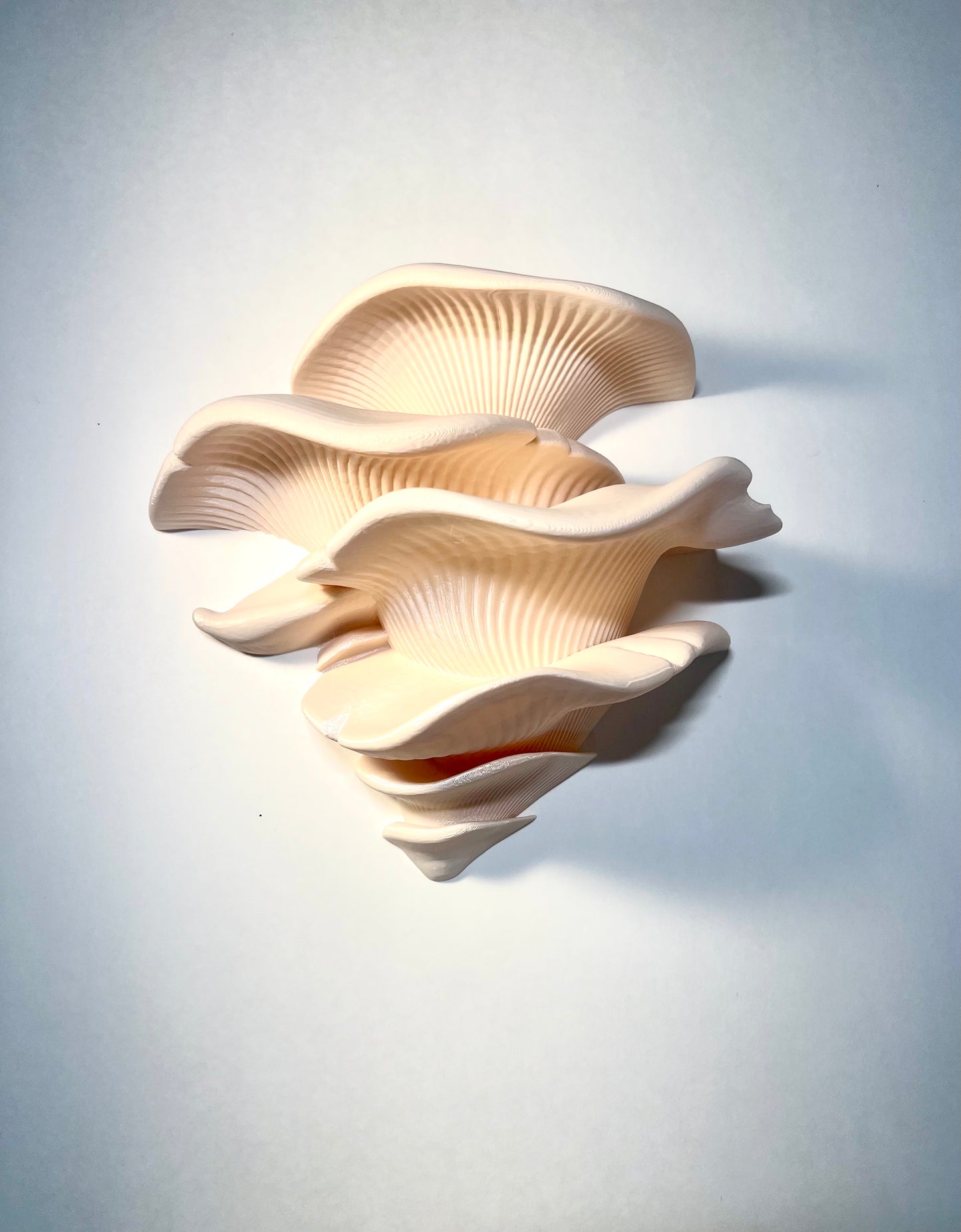 Mushroom Shelf (with Suction Cups)