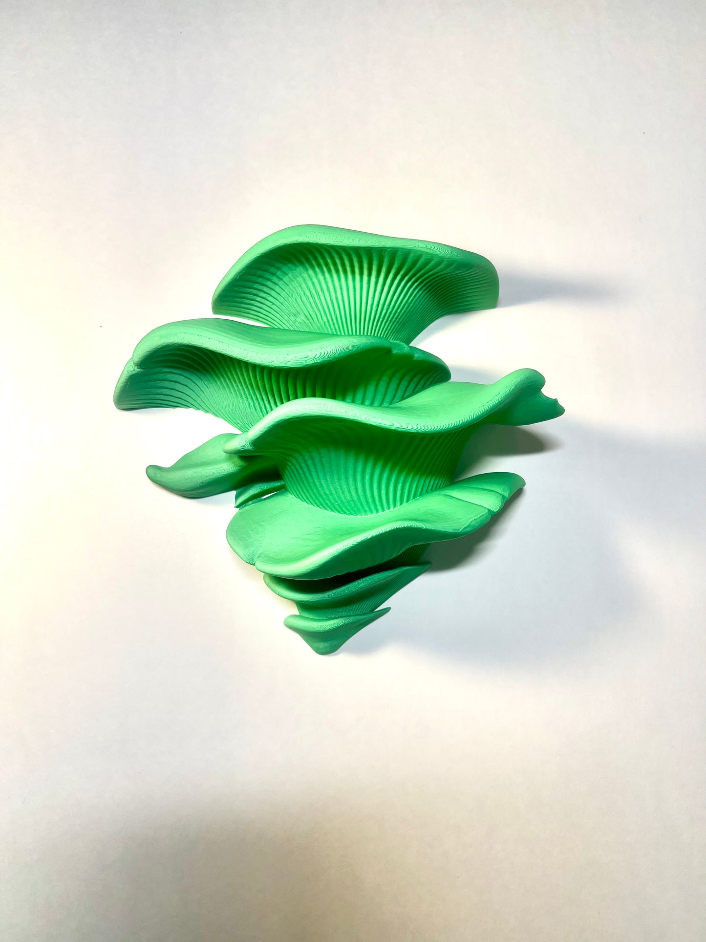 Mushroom Shelf (with Suction Cups)