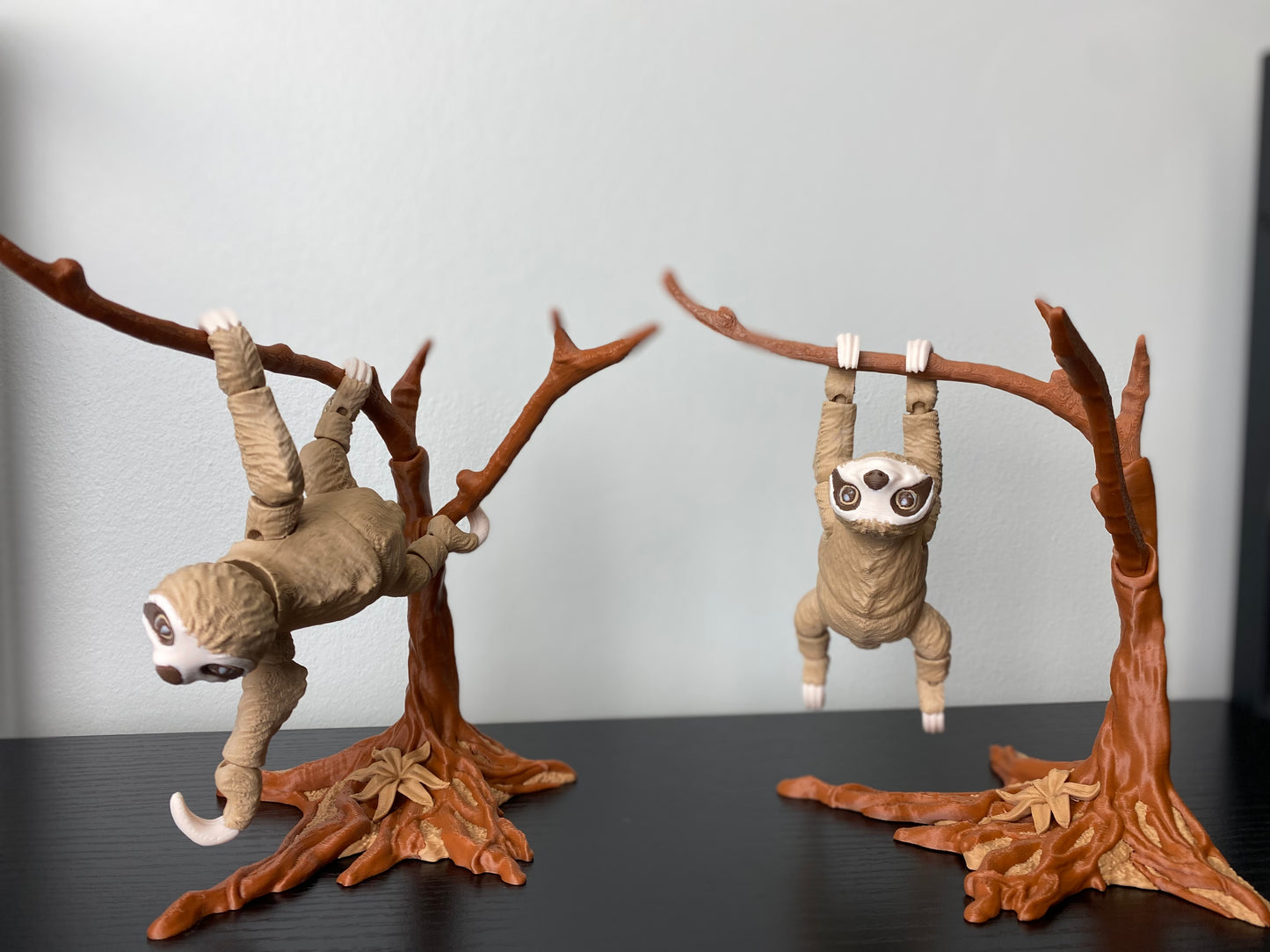 Sloth with Hanging Tree