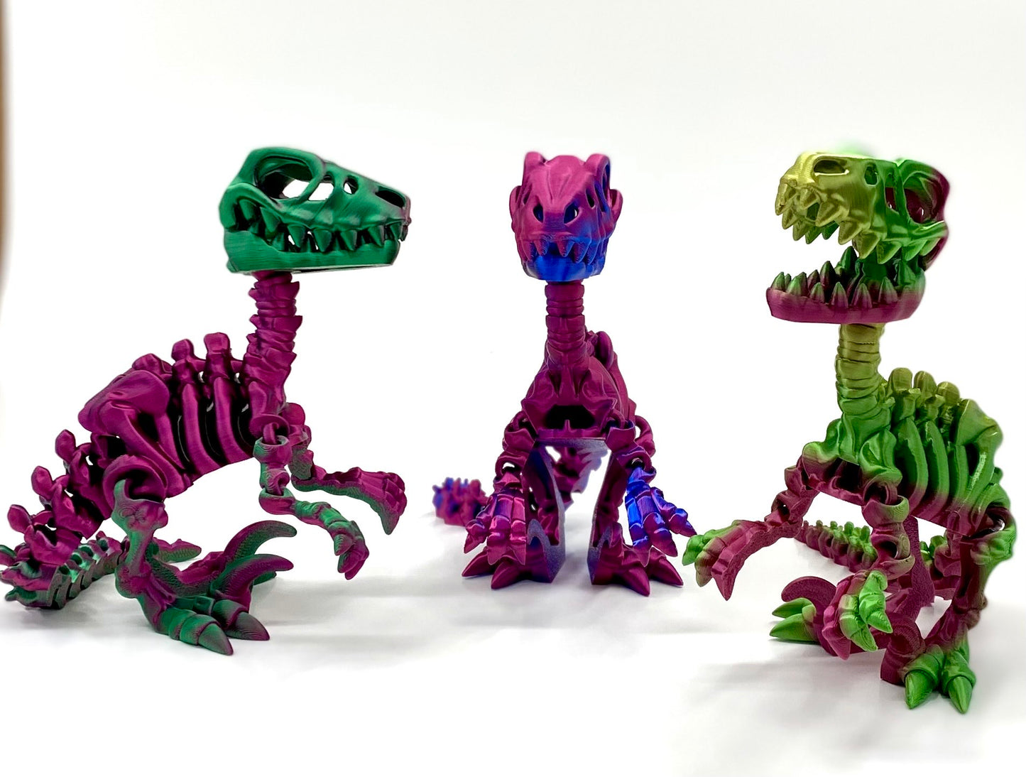 Skeleton Raptor