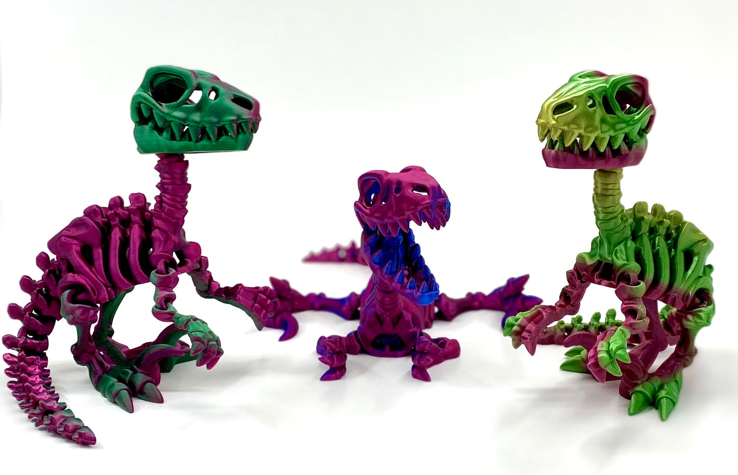 Skeleton Raptor
