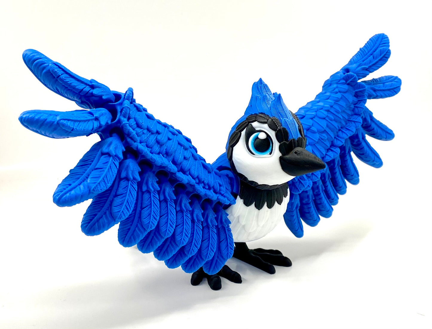 Flexi Blue Jay