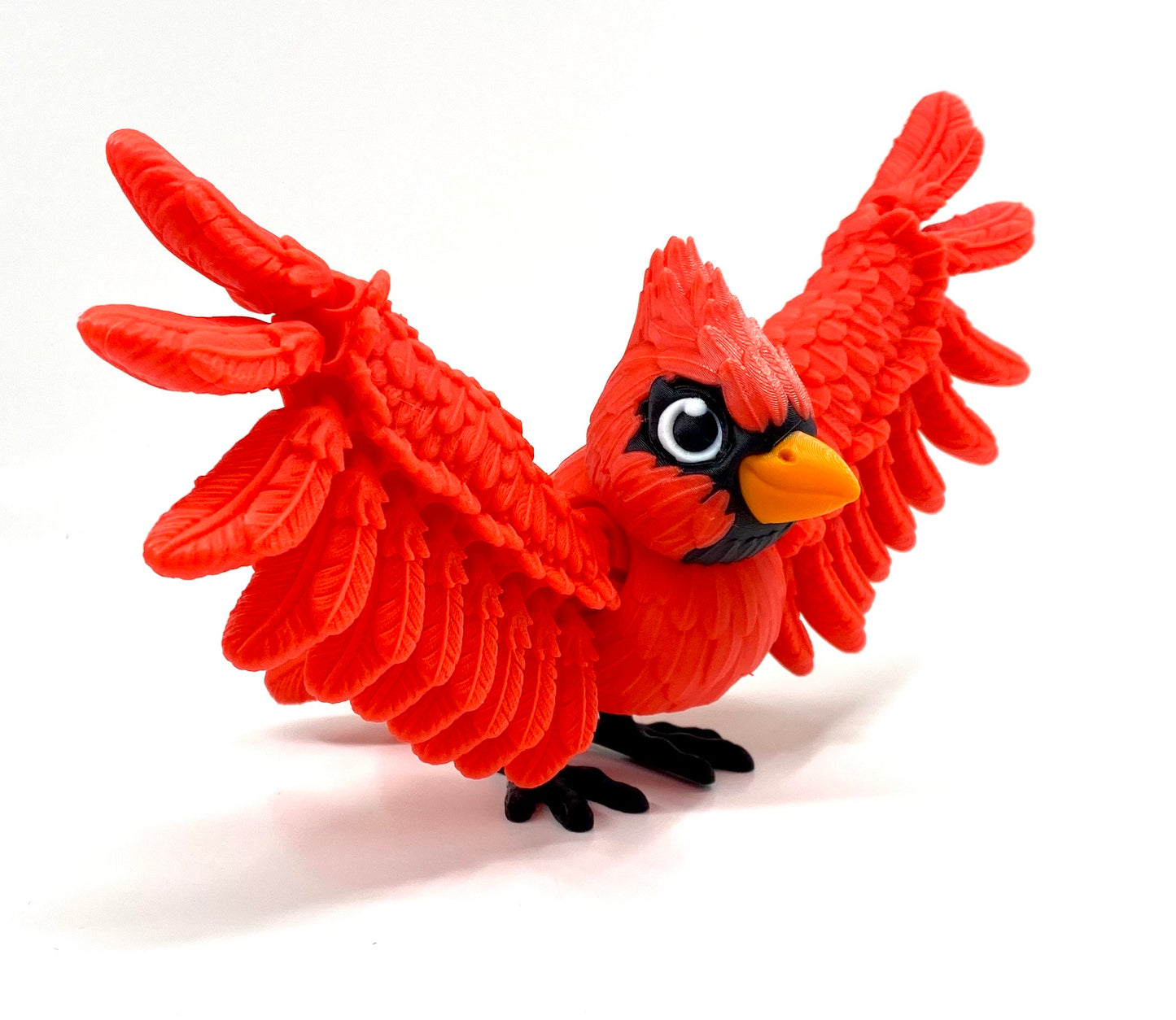Flexi Cardinal