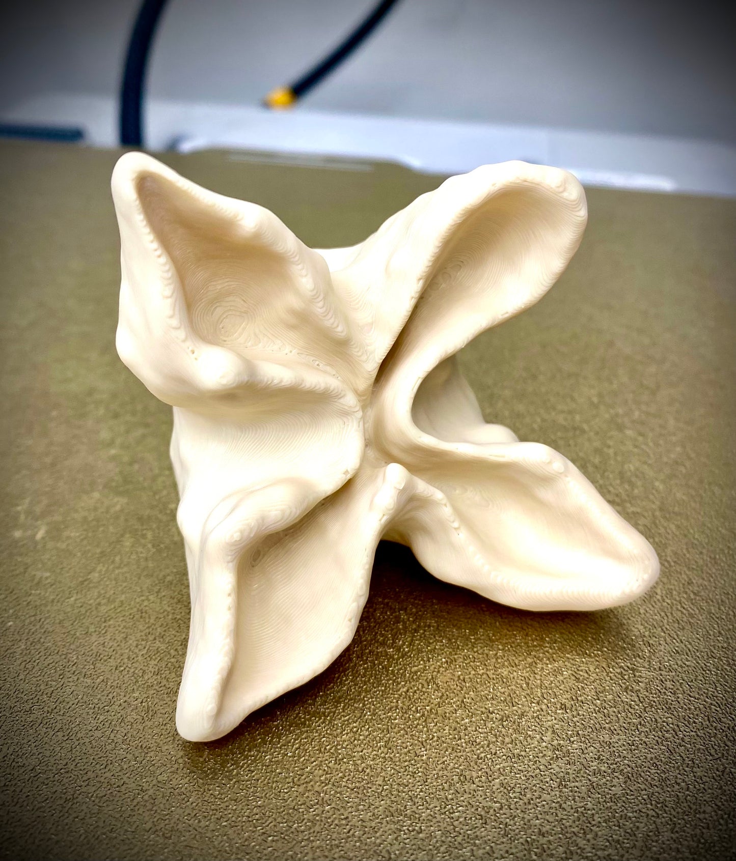 Crab Rangoon