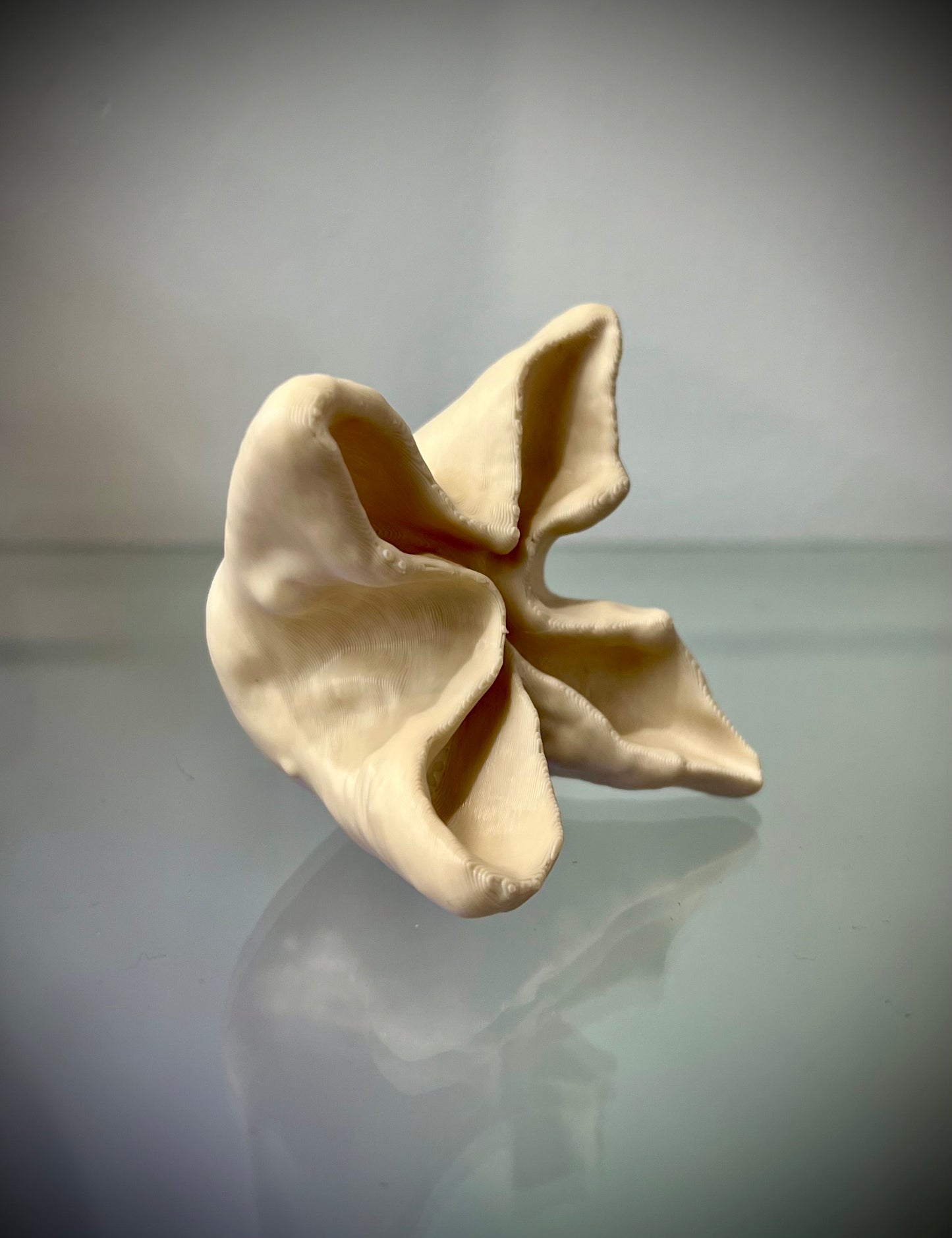 Crab Rangoon