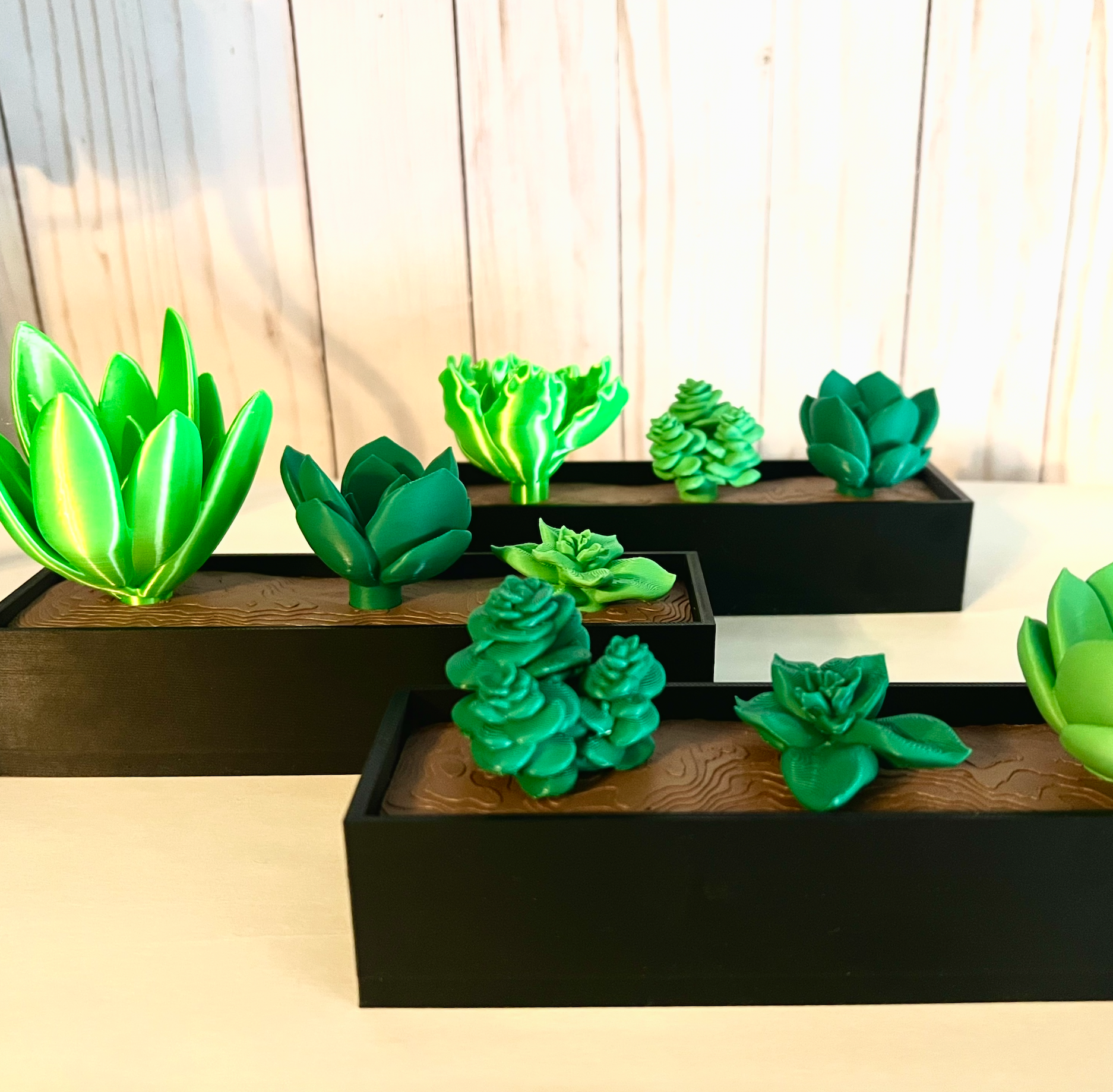 3d printed succulent plant BloomBox Mini – 3D Printed Succulent Planter Black