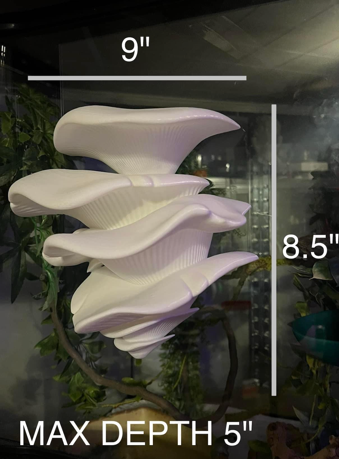 Mushroom Shelf (with Suction Cups)