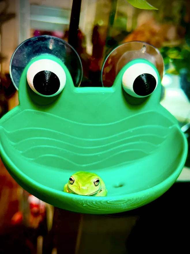 Frog Chill Pad – 3D Printed Wall-Hanging Frog Bowl