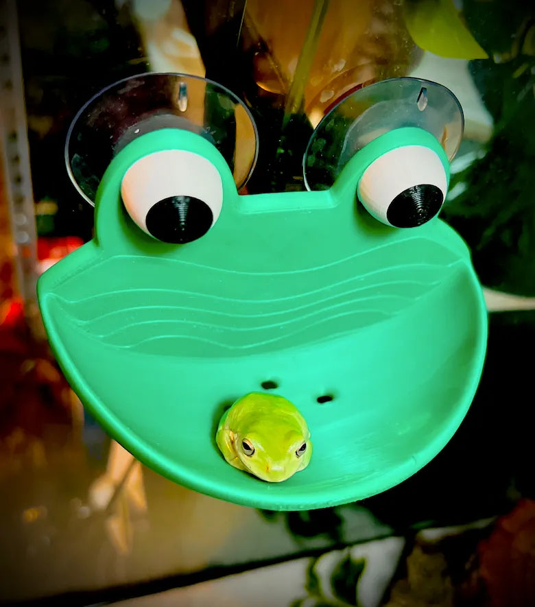 Frog Chill Pad – 3D Printed Wall-Hanging Frog Bowl