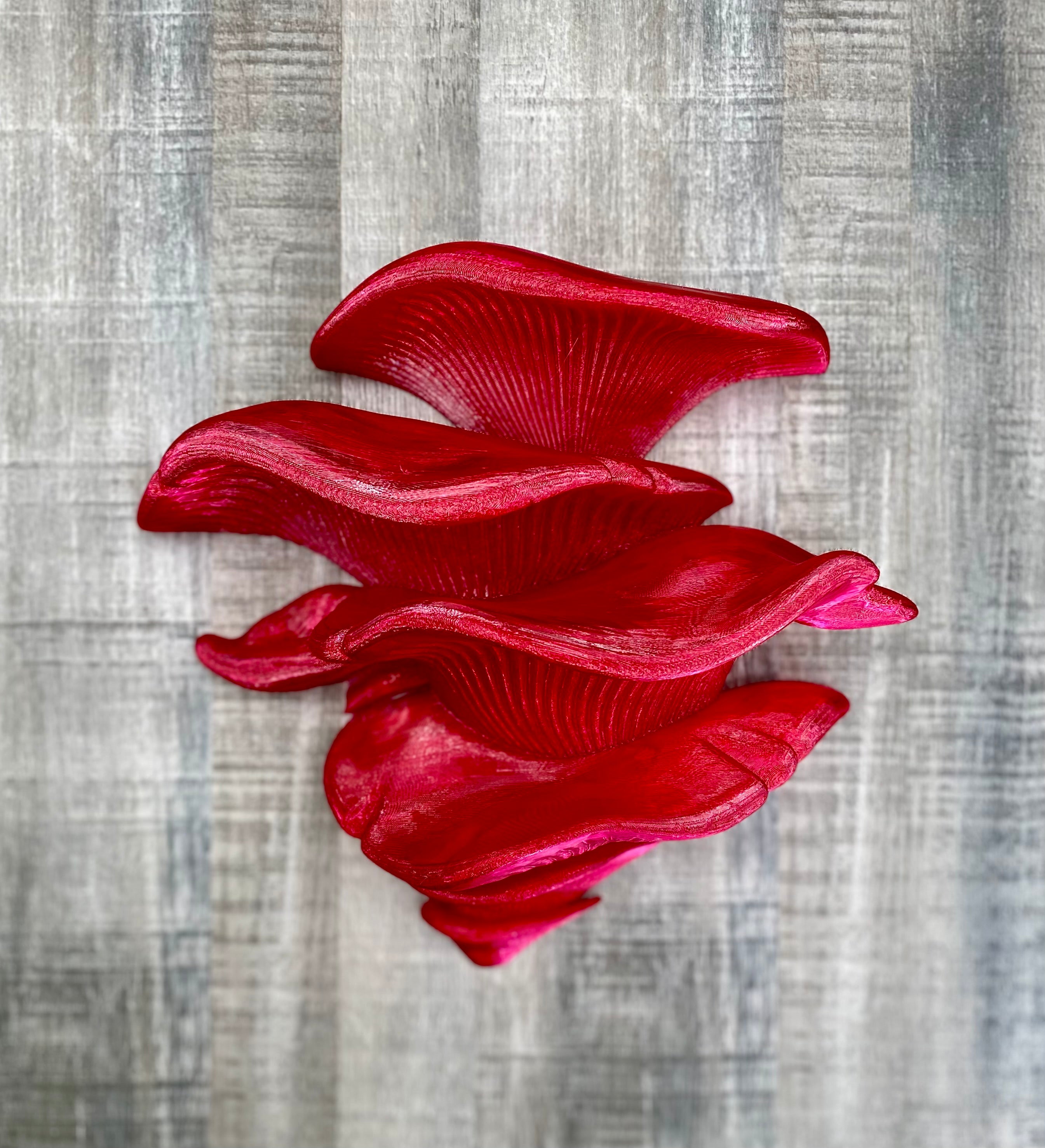 Mushroom Shelf (with Suction Cups)