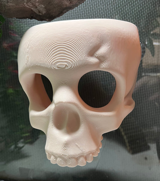 Skull Wall Hide