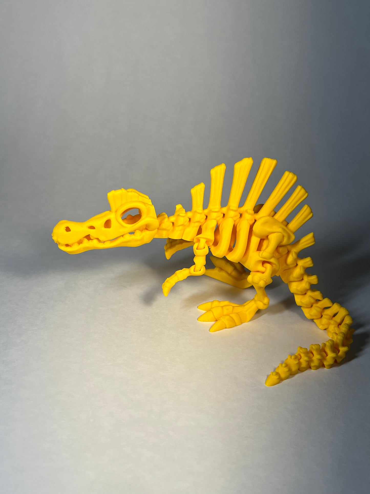 Flexi Skeleton Spinosaurus