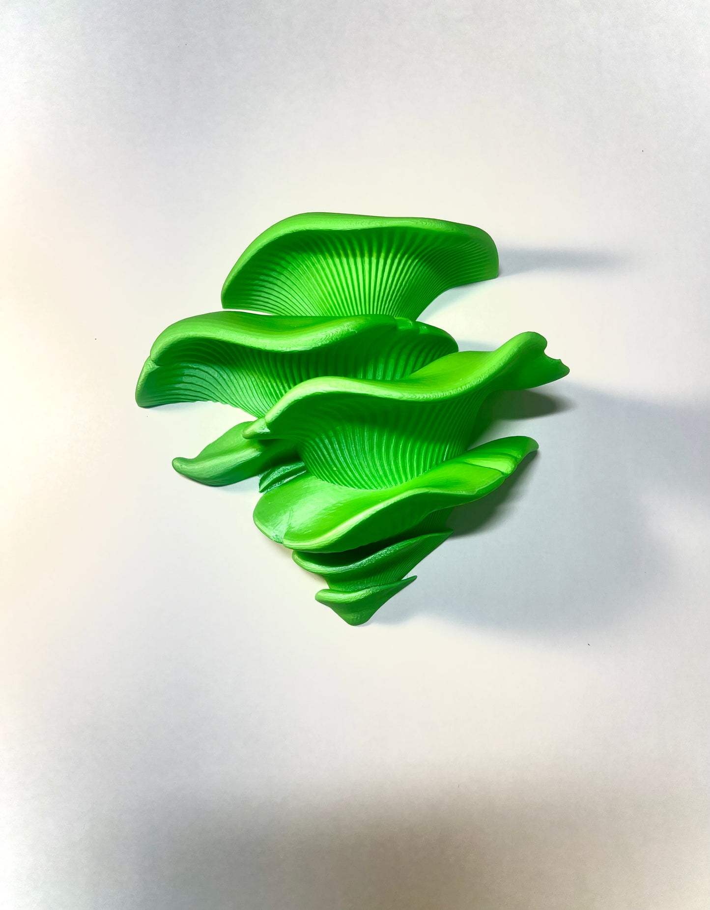 Mushroom Shelf (with Suction Cups)
