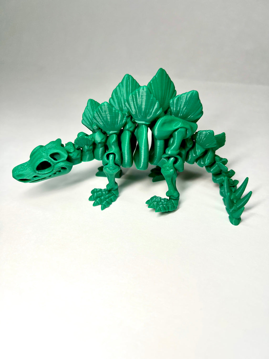 Skeleton Stegosaurus