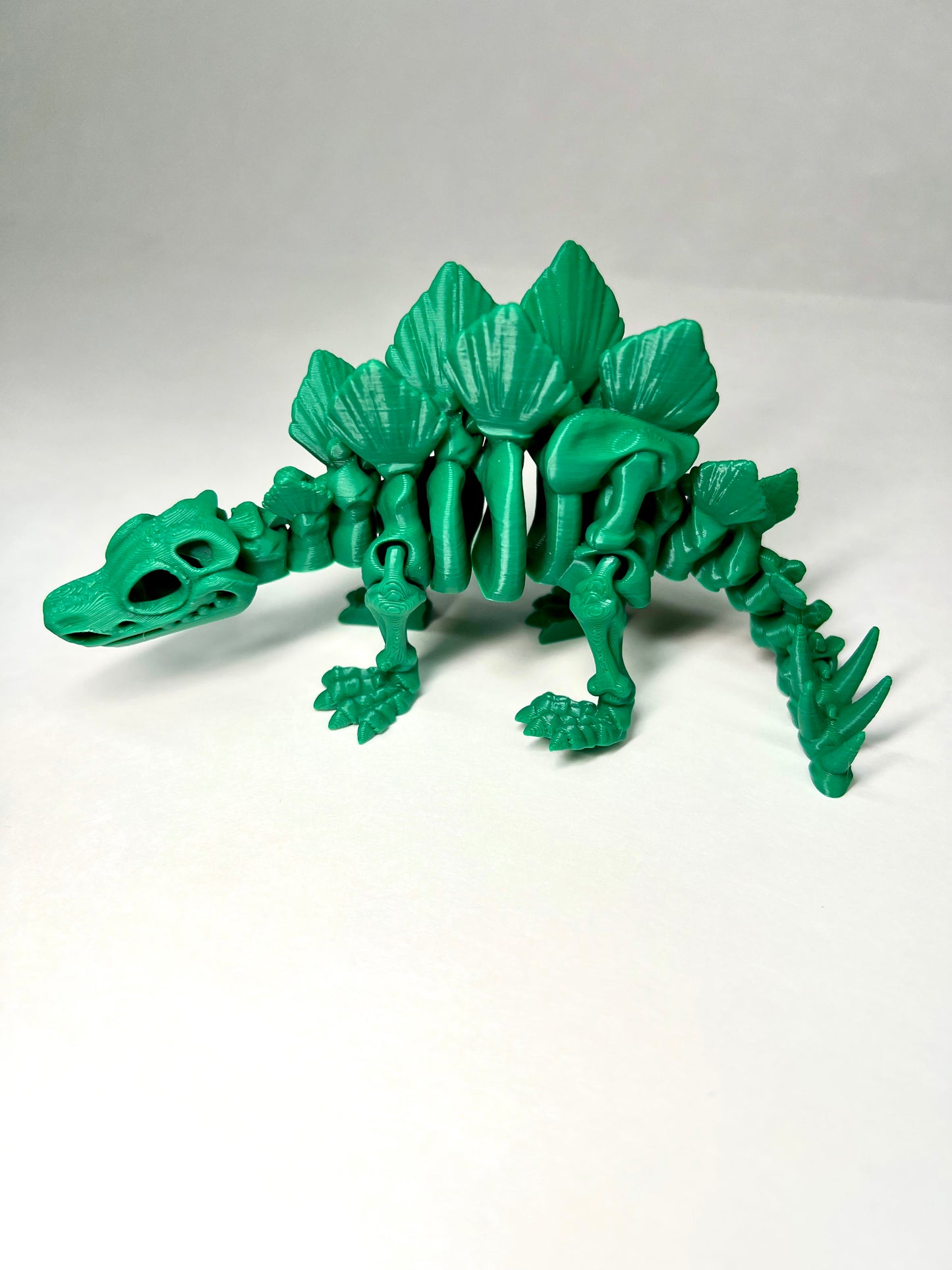 Stegosaurus Skeleton
