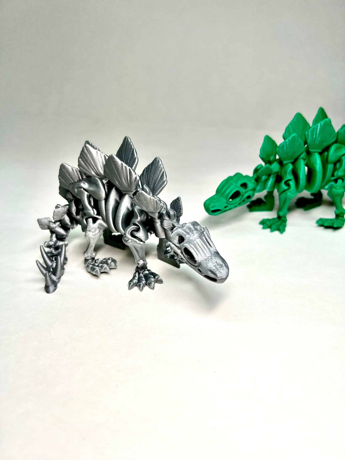 Stegosaurus Skeleton