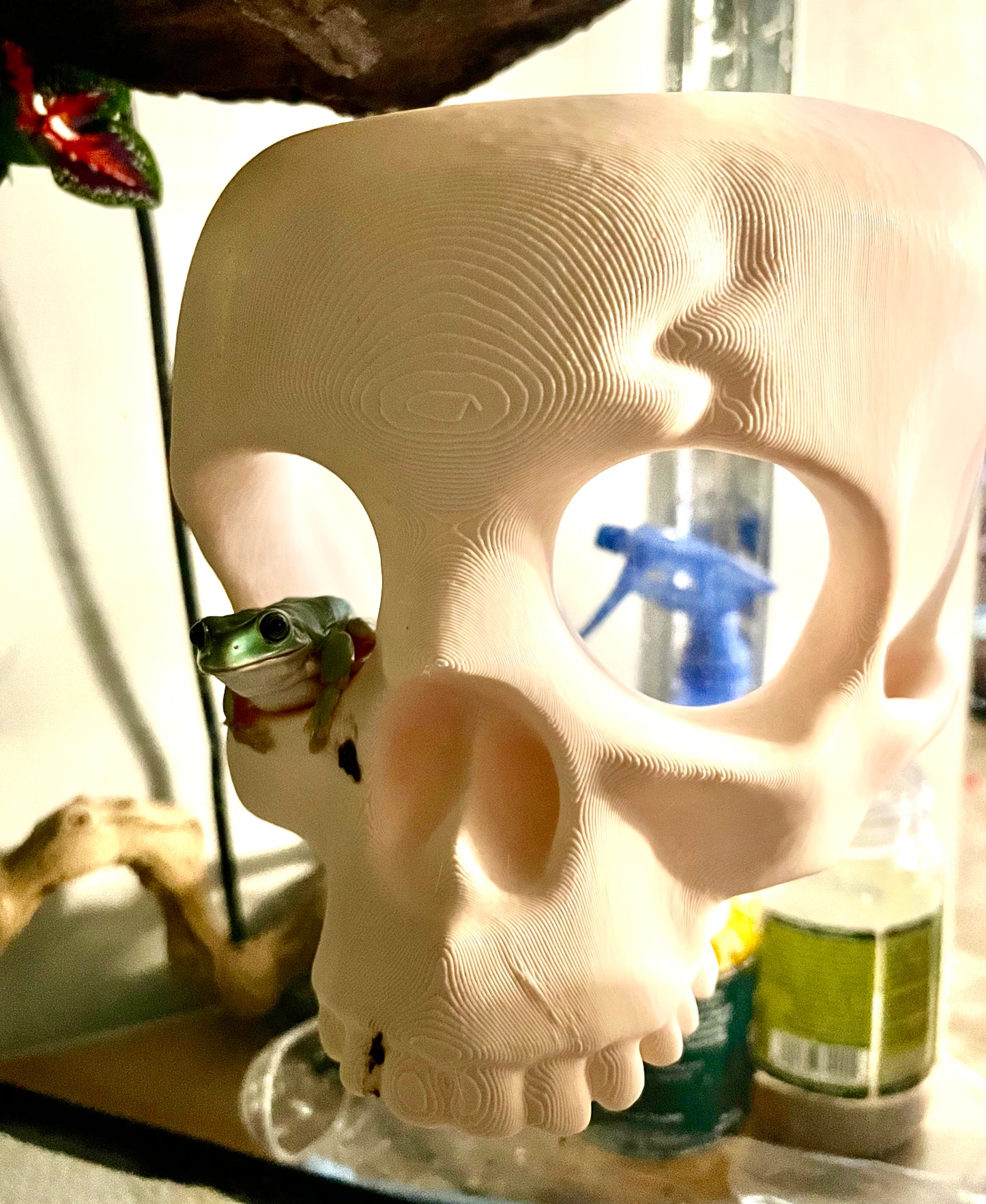 Skull Wall Hide