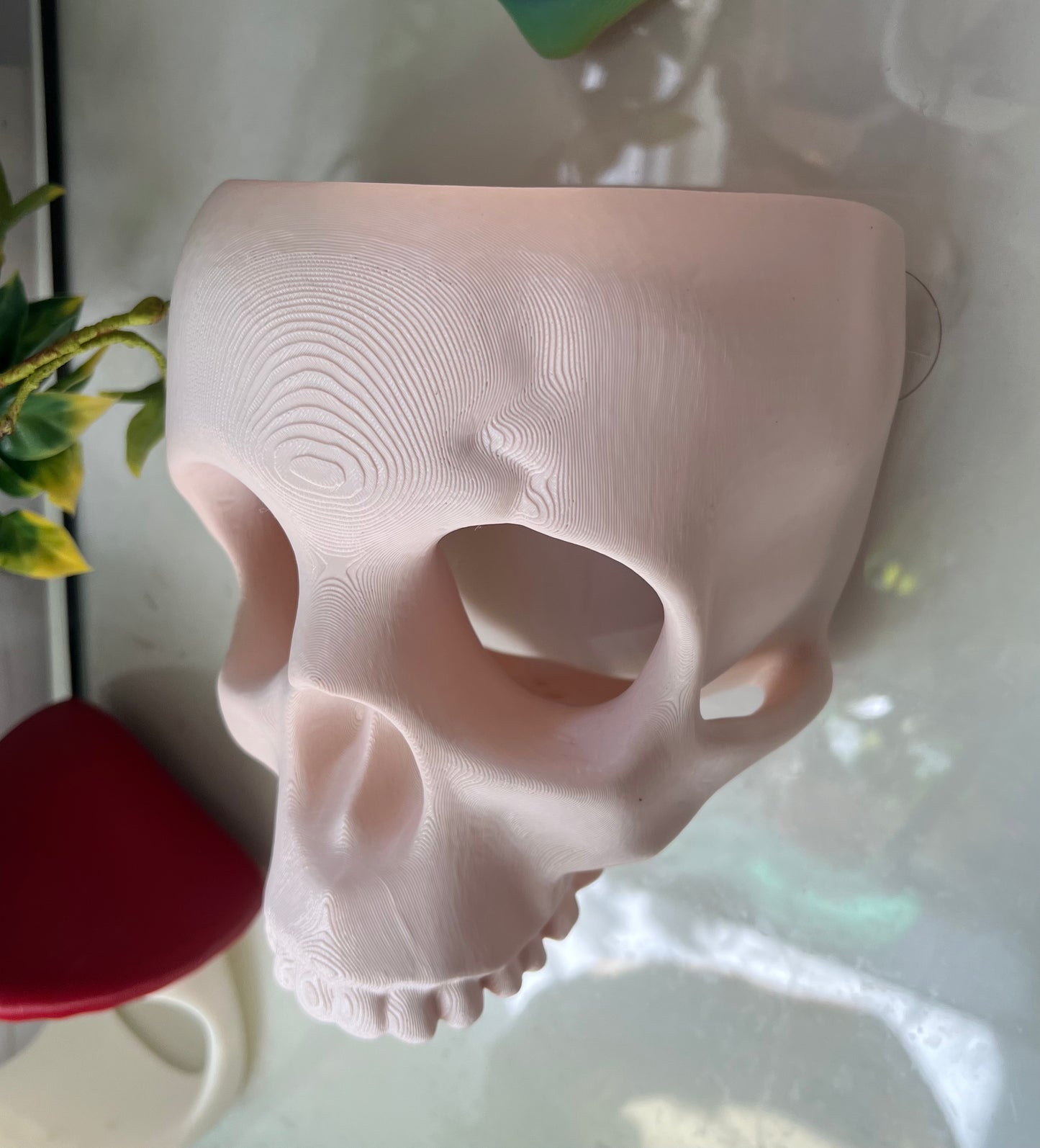 Skull Wall Hide