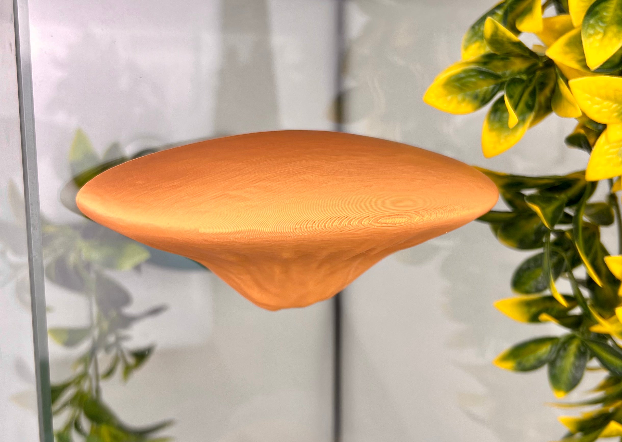 Single Mushroom Shelf