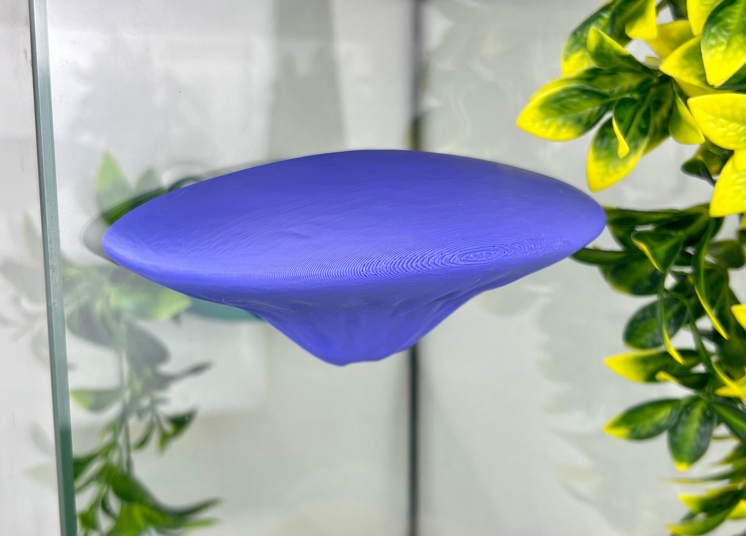 Single Mushroom Shelf