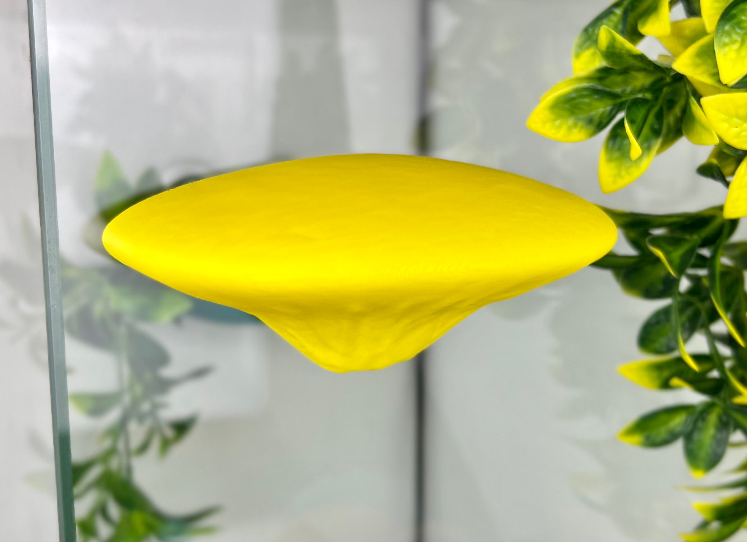 Single Mushroom Shelf