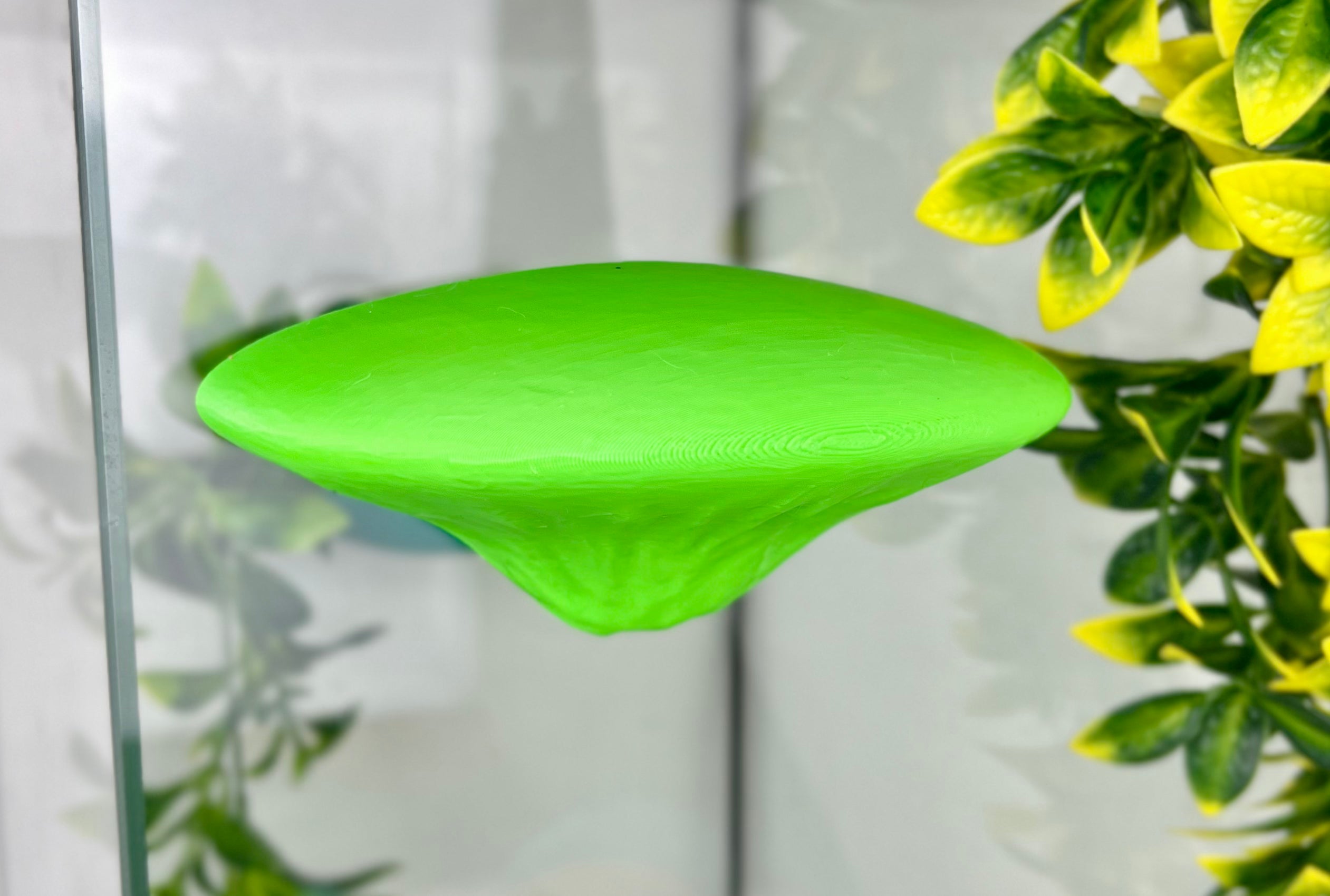 Single Mushroom Shelf