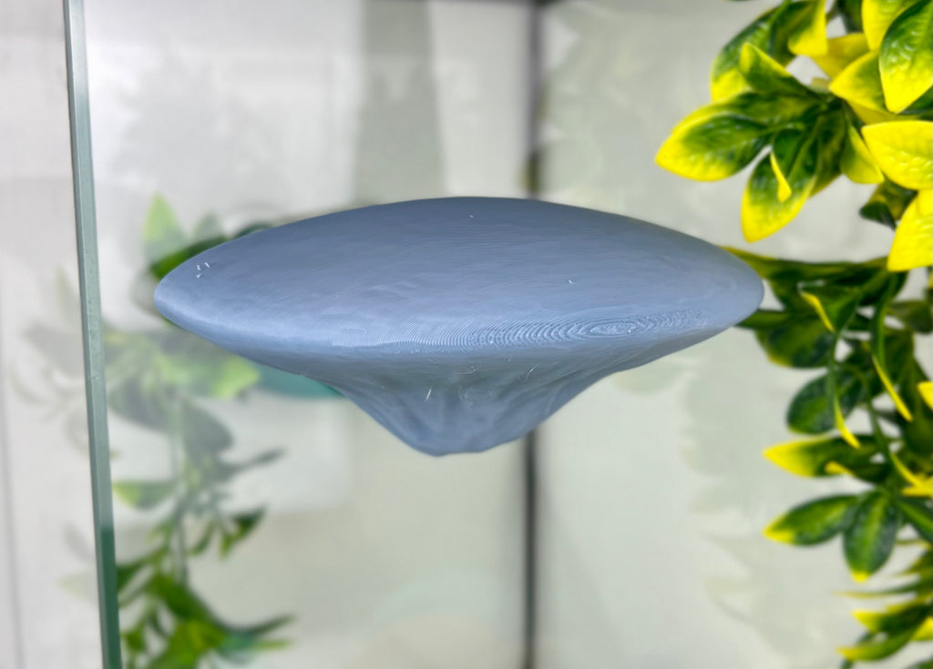 Single Mushroom Shelf