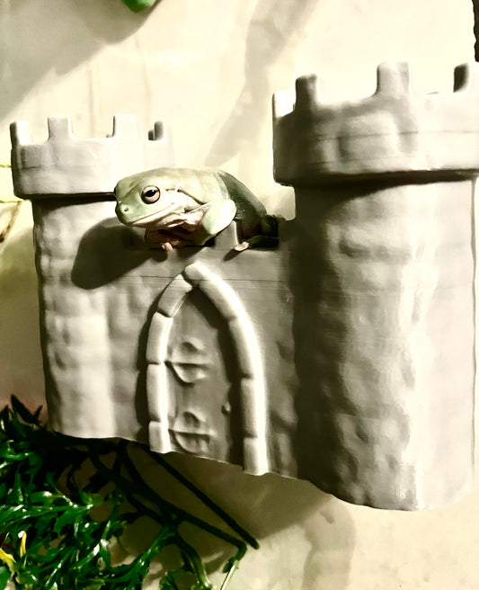 Castle Wall Hide