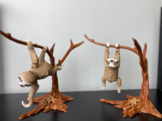 Sloth with Hanging Tree