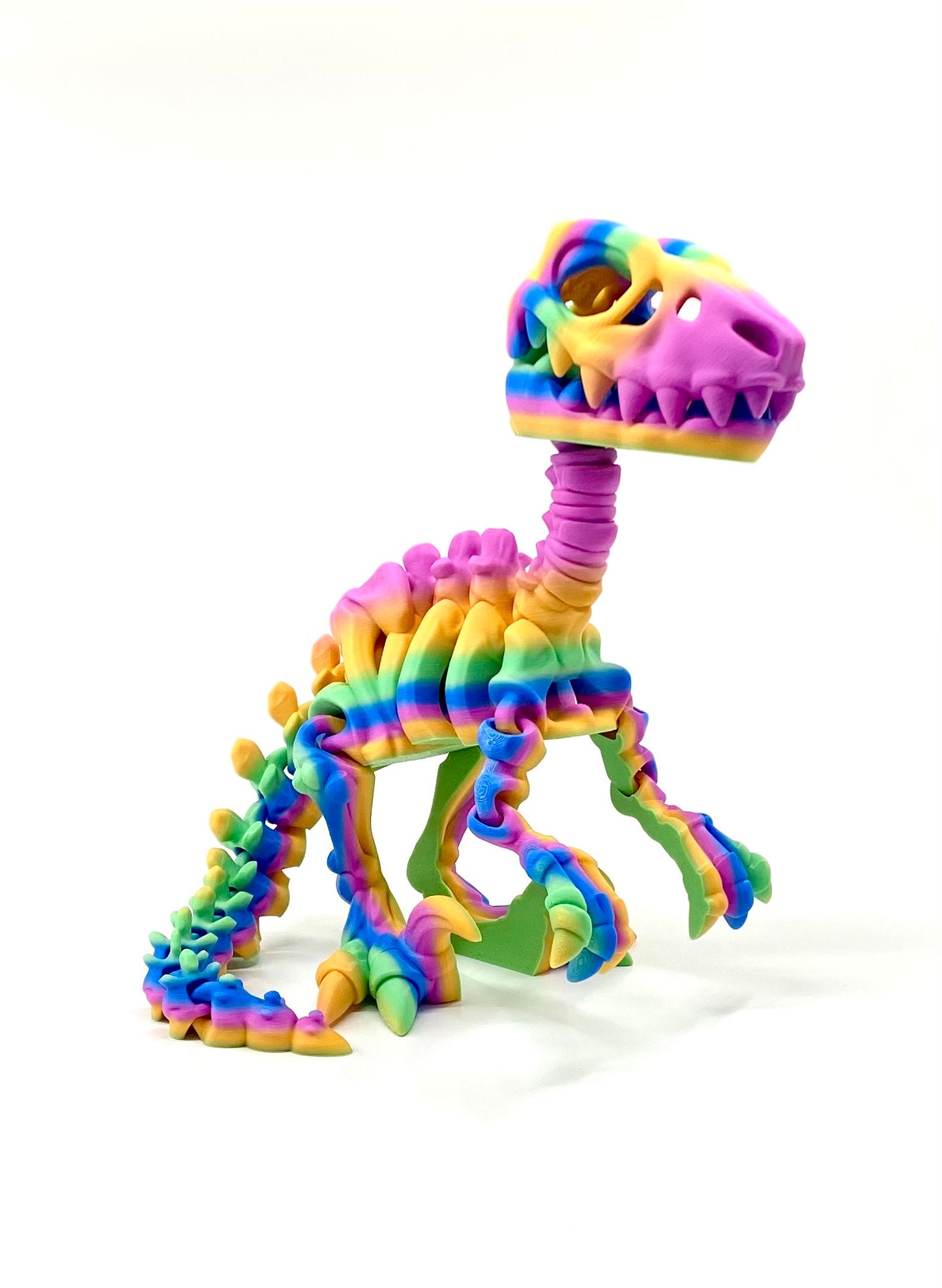 Skeleton Raptor