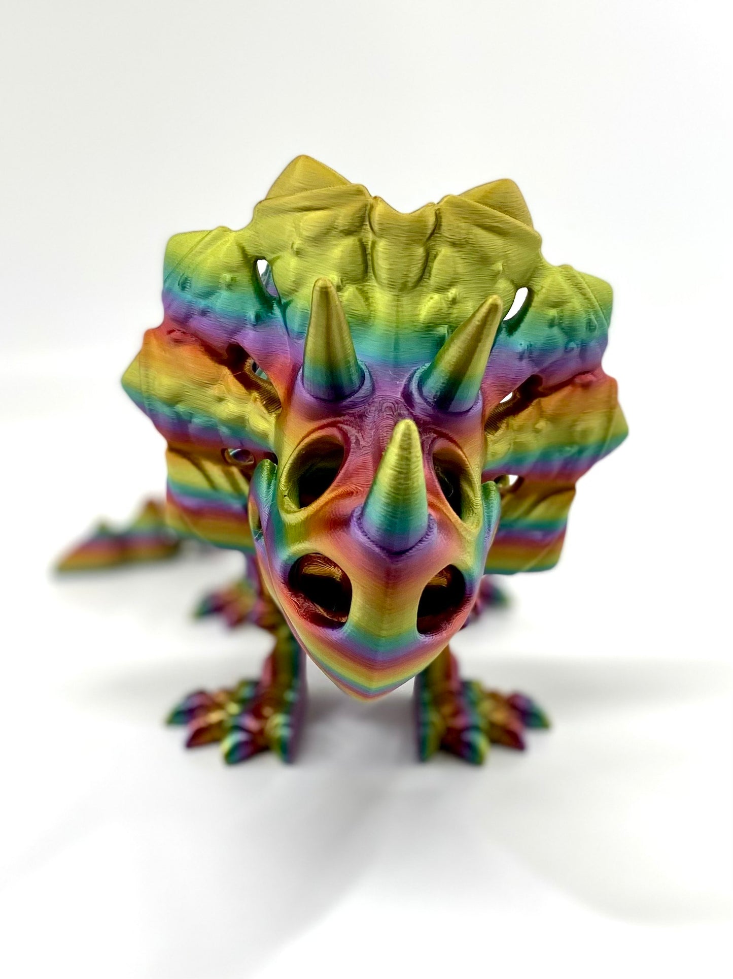 Skeleton Triceratops