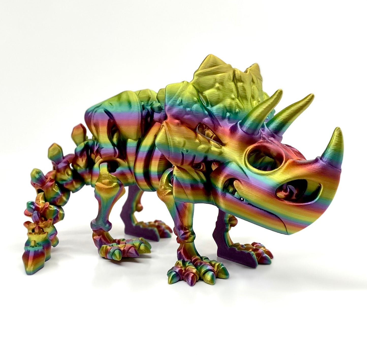 Skeleton Triceratops