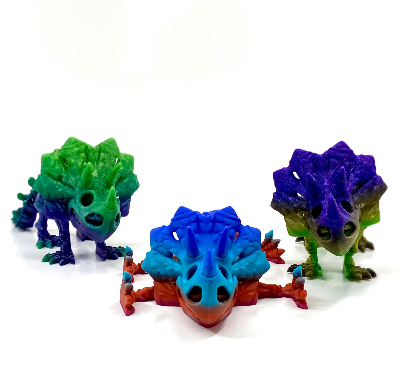 Skeleton Triceratops