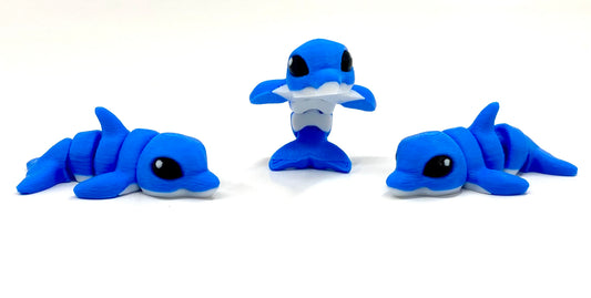 Dolphin Hatchling