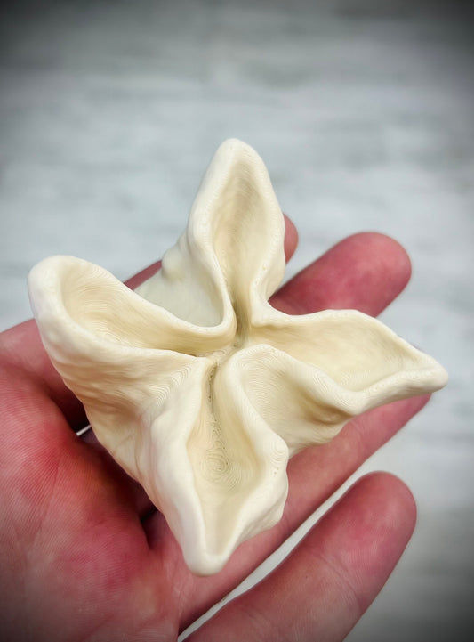 Crab Rangoon