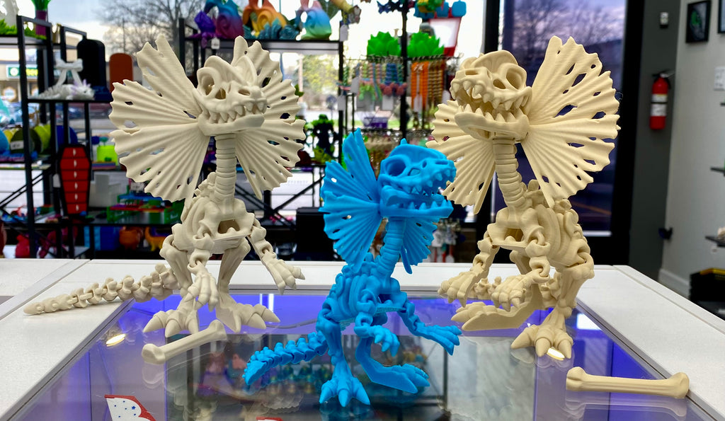 Skeleton Dilophosaurus