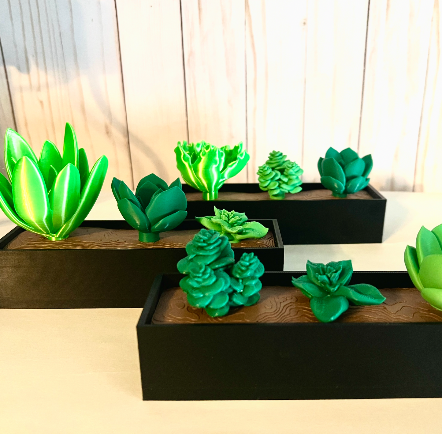 BloomBox Mini – 3D Printed Succulent Planter 🌱✨