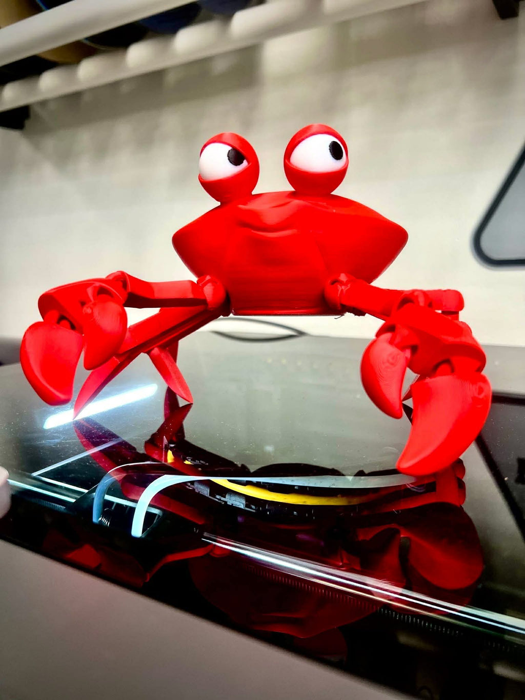 The Side Eye Crab