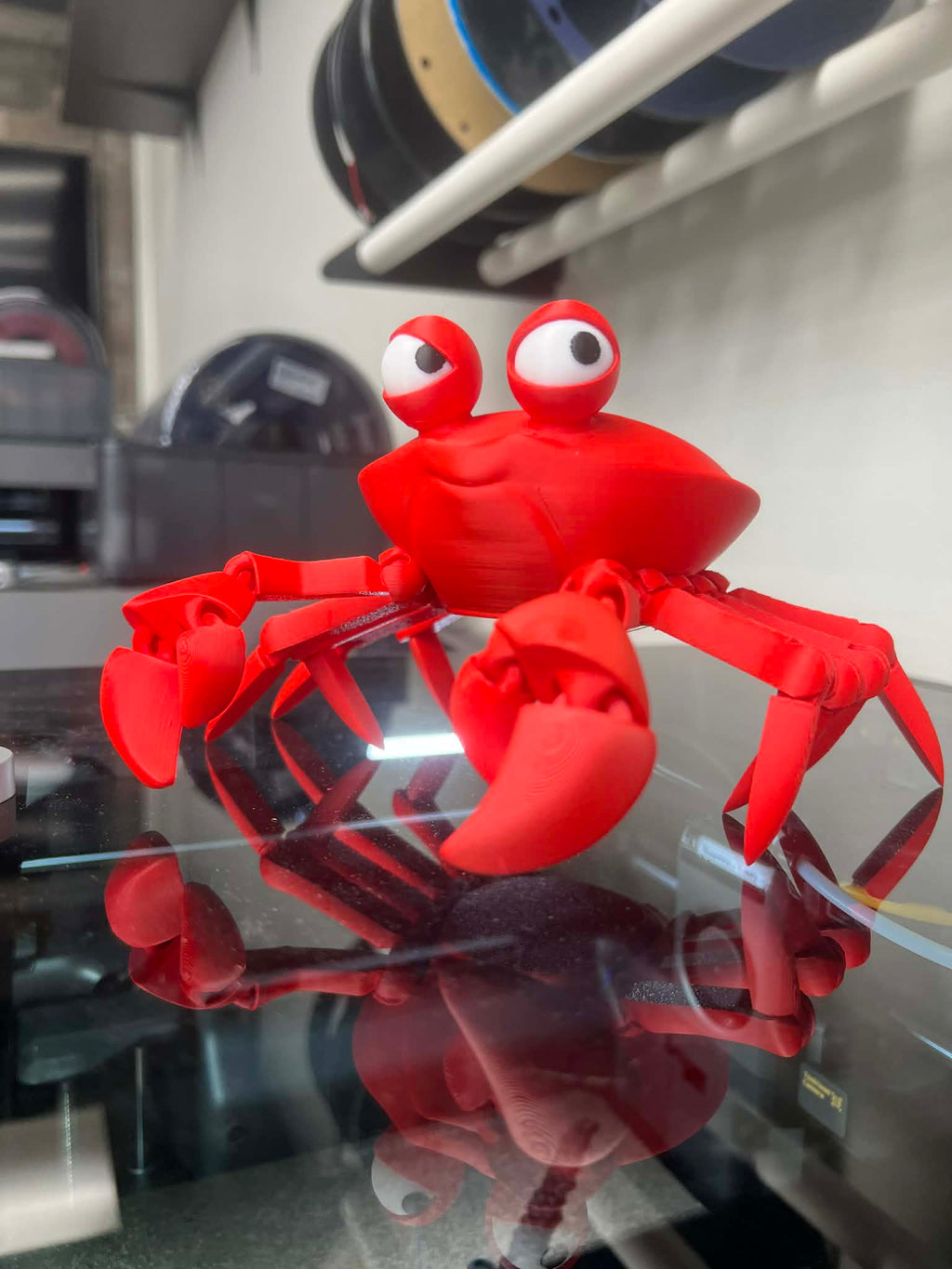 The Side Eye Crab