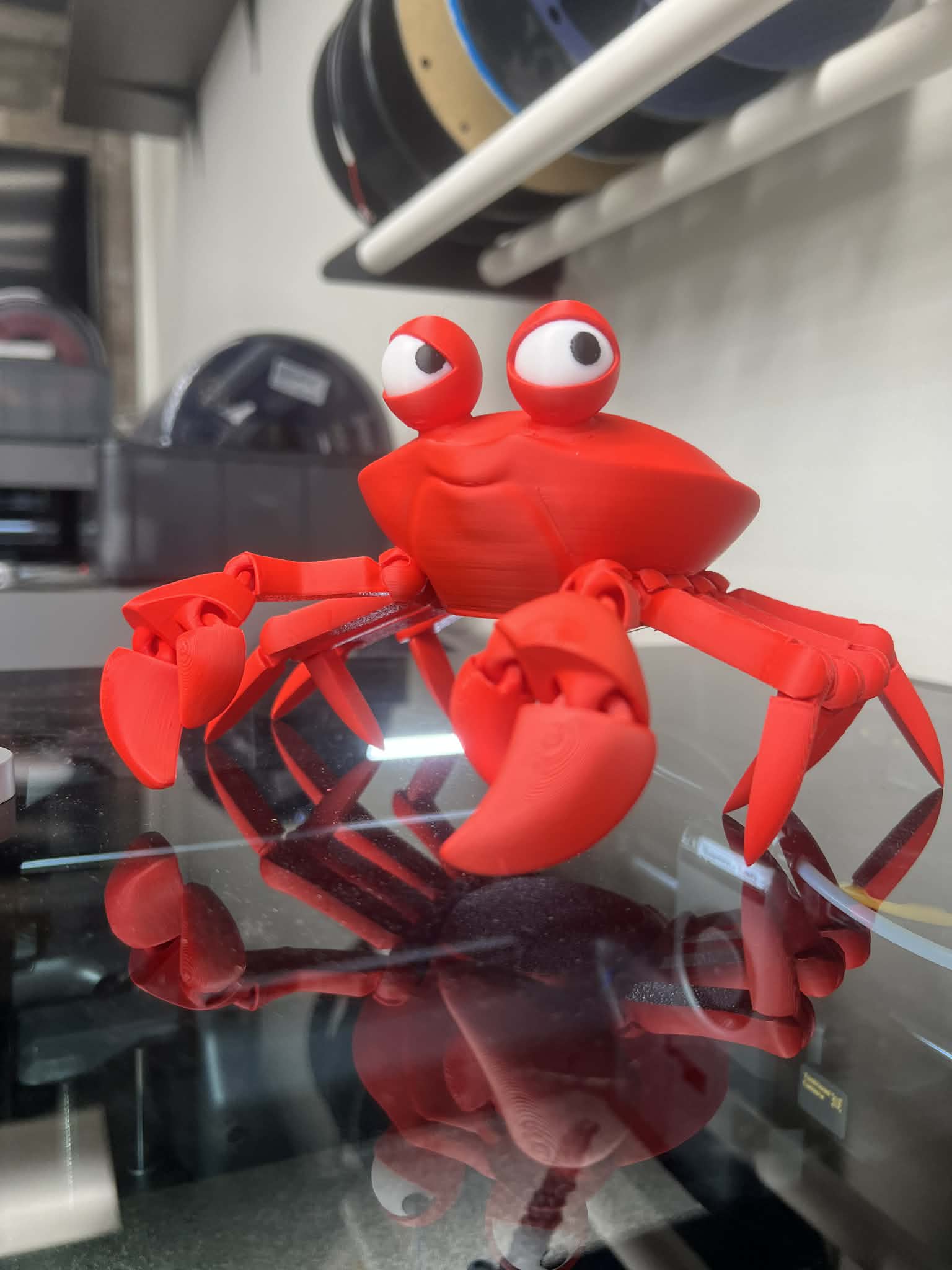 The Side Eye Crab